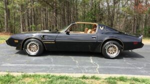 1979y Pontiac Firebird