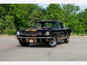 1966 MUSTANG Shellby GT350