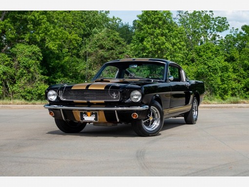1966 MUSTANG Shellby GT350