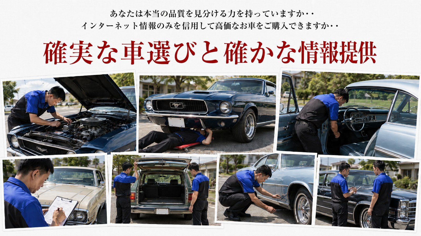 確実な車選びと確かな情報提供