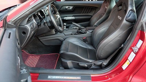 フォード マスタング GT500 style