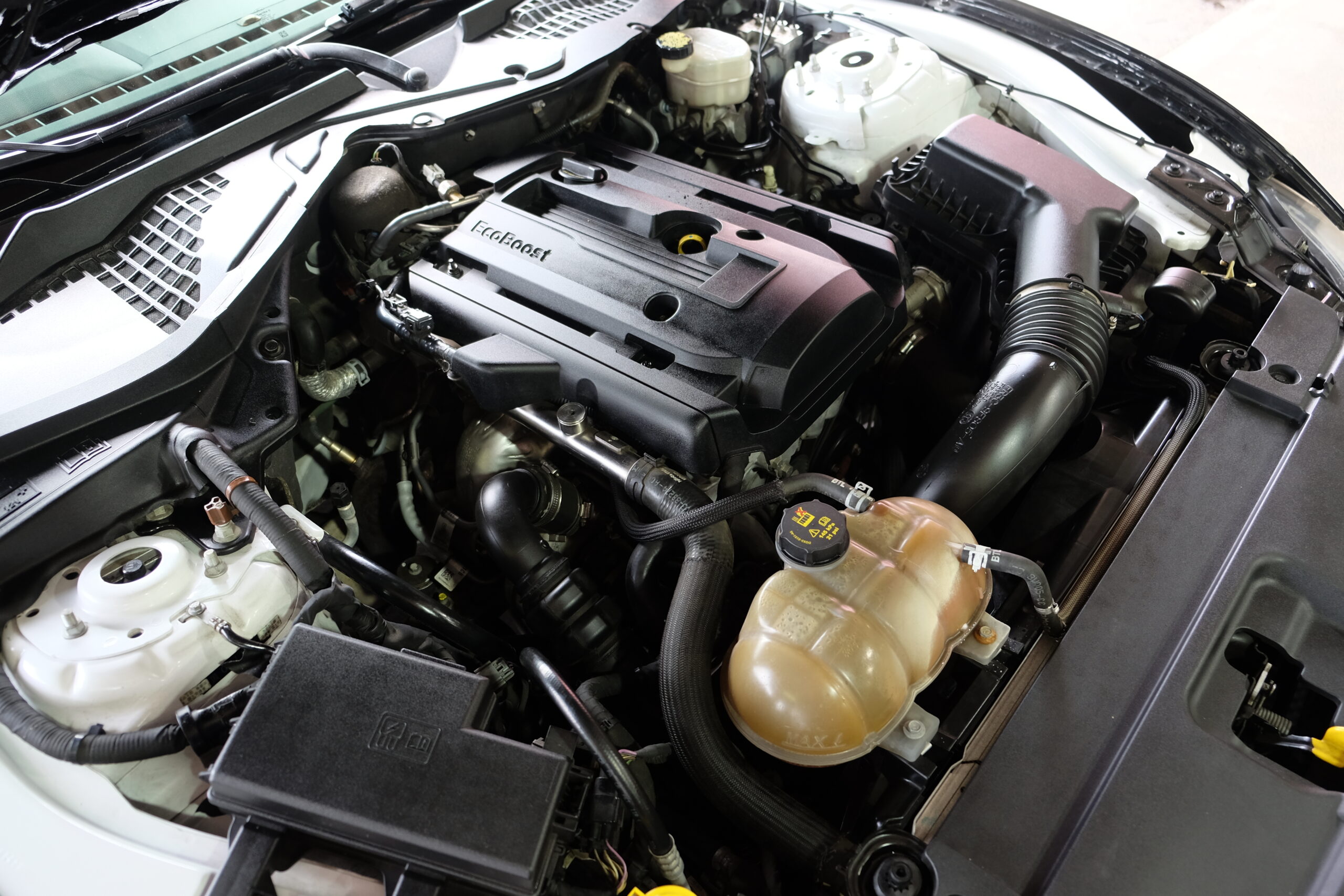 フォード マスタング EcoBoost