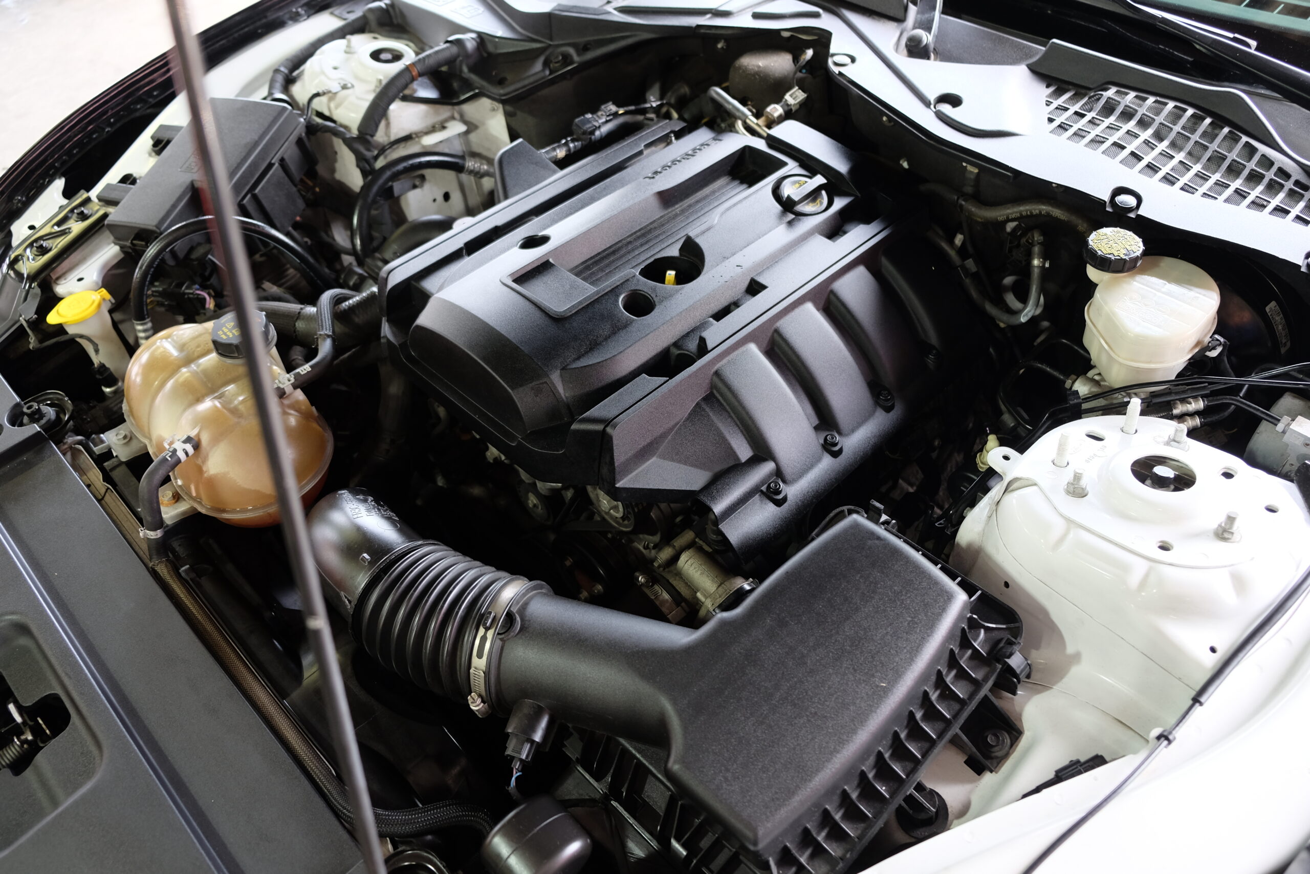 フォード マスタング EcoBoost