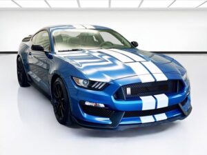 2019 フォード シェルビー GT350